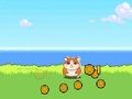Joc Clicker Hamster Kombat on-line