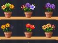 Joc Bun maestru de flori  on-line
