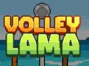 Joc Volei Lama  on-line
