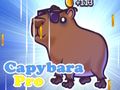 Joc Capybara Pro on-line