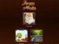 Joc Maestru de Jigsaw  on-line