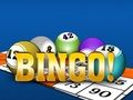 Joc Bingooo 2024 on-line