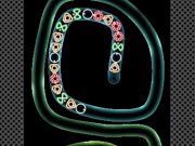 Joc TD Neon Shoot on-line