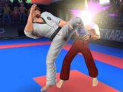 Joc Luptător de karate on-line Joc Luptător de karate on-line