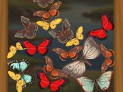 Joc Merge Butterfly  on-line