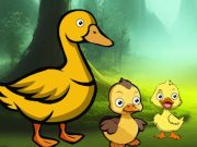Joc Duck Family Reach Pond on-line