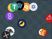 Joc Crypto Detective Finder  on-line