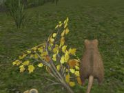 Joc Șoarece de pădure  on-line