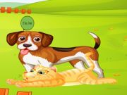 Joc Bunny Key Quest  on-line