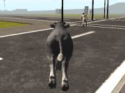 Joc Crazy Bull City  on-line