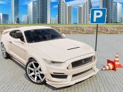 Joc Simulator auto 3D  on-line