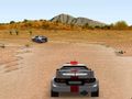 Joc Raliul 3D  on-line