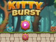 Joc Kitty a izbucnit on-line