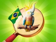 Joc Obiecte ascunse: vacanță în Brazilia on-line