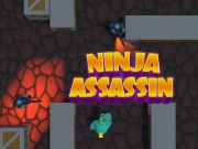 Joc Ninja Assassin on-line