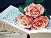 Joc Cartea lui Blooms Jigsaw on-line
