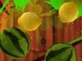 Joc Fruit Break on-line