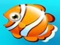 Joc Fish Resort on-line