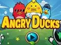 Joc Angry Ducks on-line