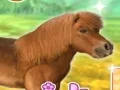 Joc My Dear Pony on-line