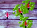 Joc Smash Ants on-line