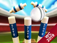 Joc Mini Cricket: Ground Championship World Cup 2019 on-line