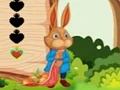 Joc Squirrel Escape on-line