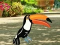 Joc Find Woodpecker Pair on-line