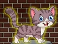 Joc Loveable Small Cat Escape on-line