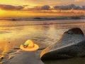 Joc Escape From Sunset Beach on-line