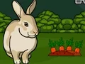 Joc Rescue The Grey Rabbit on-line
