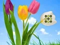 Joc Flower Lawn Escape on-line