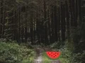 Joc Dense Forest Deer Escape on-line