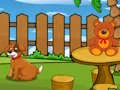 Joc Funny Iguana Escape on-line