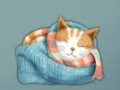 Joc Adorable Escape Find Cute Kitten on-line