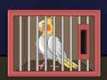 Joc Release The Cockatiel Bird on-line