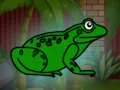 Joc Rescue The Green Toad From Underground on-line