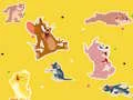 Joc The Tom and Jerry Show Find it! on-line