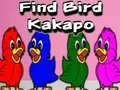 Joc Find Bird Kakapo on-line