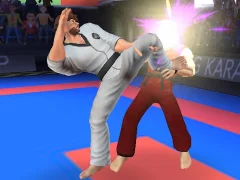 Joc Karate Fighter on-line