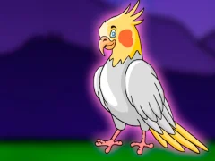 Joc Release the Cockatiel Bird from Cage on-line