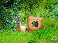 Joc Return To Alsunga Forest on-line