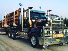 Joc American City Truck Transporting on-line
