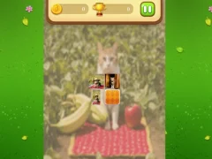 Joc Farm Cat Memory Match on-line