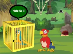 Joc Release Trapped Macaw Buddy on-line