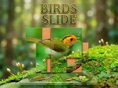 Joc Birds Slide on-line