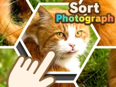 Joc Sort Photograph on-line