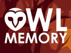 Joc Owl Memory on-line