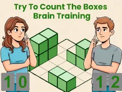 Joc Try To Count The Boxes Brain Training on-line