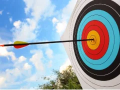 Joc Archery: Bow & Arrow on-line